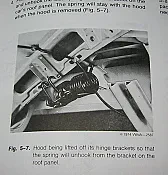Which way does the decklid spring go in? |   I have a 1969 vw bug and i took off the hood. but i forgot how the hoodspring...