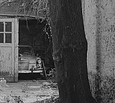 Rover P5B |  A semi disabled mate of my brother in Aberdeen has just had an accident inhis...