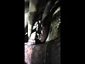 1998 F150 flashing Overdrive Light |   Recently learned my transmission fluid filler tube has rusted out, seems the ...